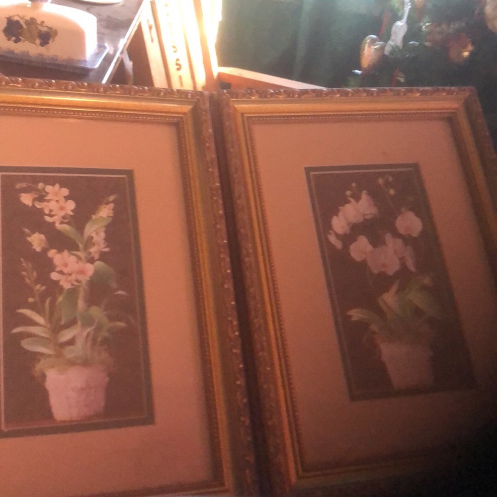 Flower hanging decor pictures
